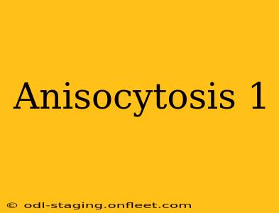 Anisocytosis 1
