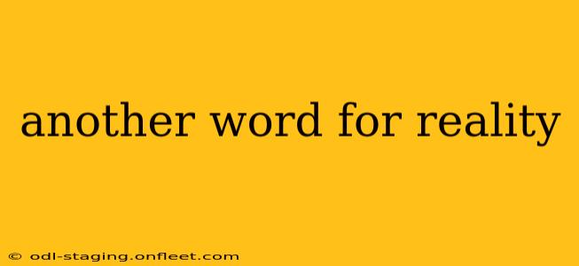 another word for reality