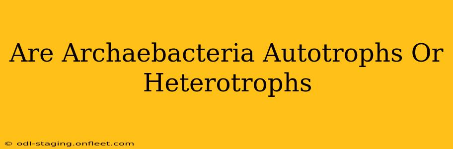 Are Archaebacteria Autotrophs Or Heterotrophs