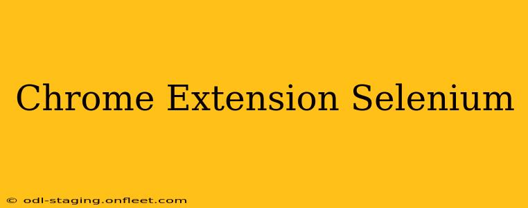 Chrome Extension Selenium