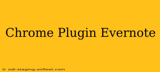 Chrome Plugin Evernote