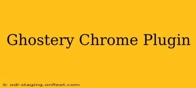 Ghostery Chrome Plugin