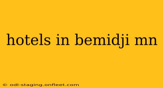 hotels in bemidji mn