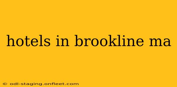 hotels in brookline ma