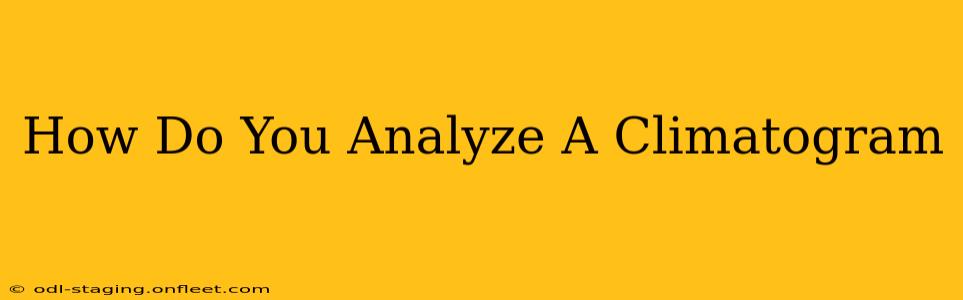 How Do You Analyze A Climatogram
