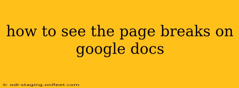 how to see the page breaks on google docs