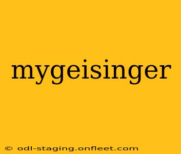 mygeisinger