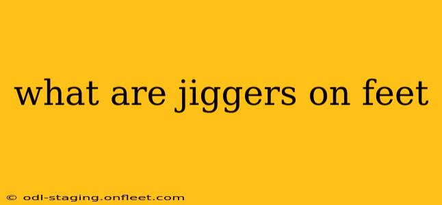 what are jiggers on feet