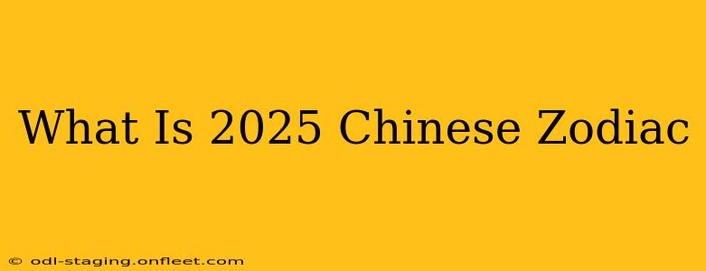 What Is 2025 Chinese Zodiac