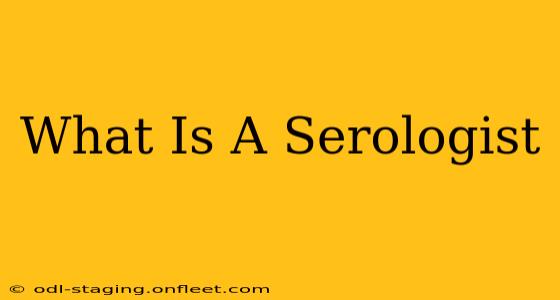 What Is A Serologist