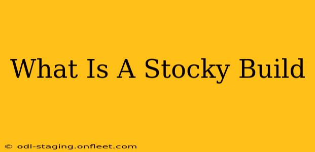 What Is A Stocky Build