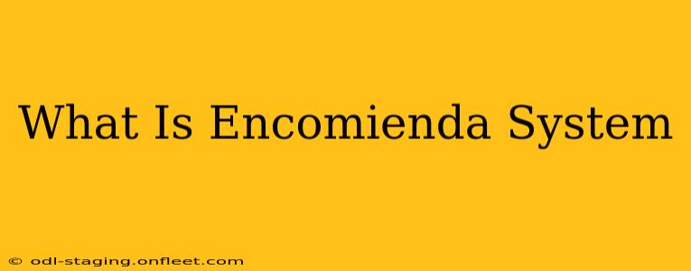 What Is Encomienda System