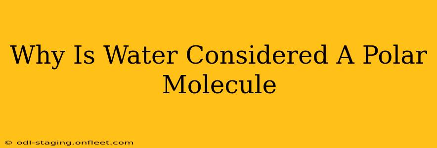 Why Is Water Considered A Polar Molecule